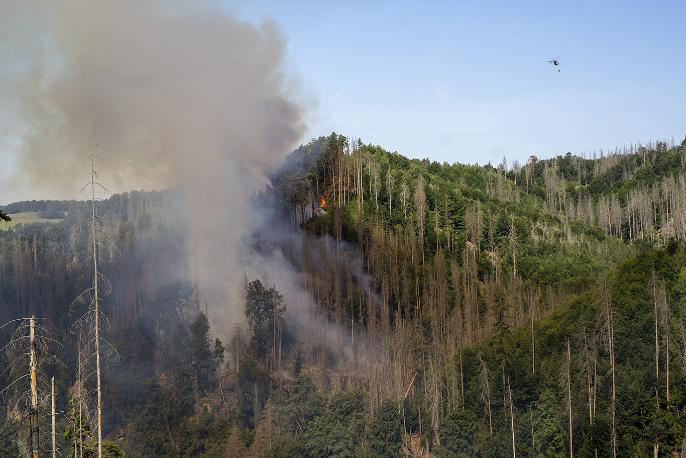 Požár nad Malinovým dolem dne 24. 7. 2022. Foto: Václav Sojka