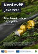 Plakát Plechovkovice nápojová