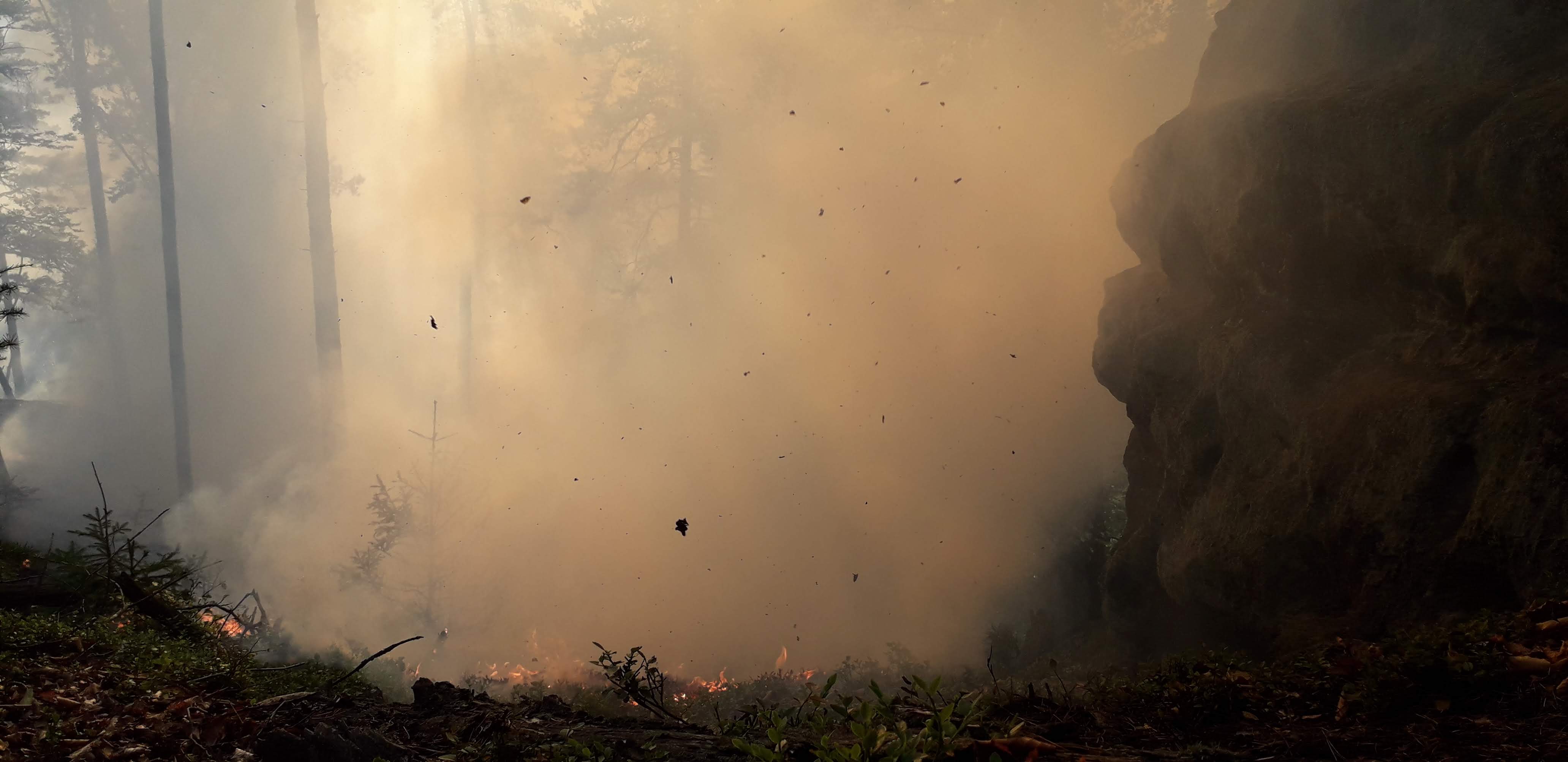 Požár lesa na jižním úbočí Koliště. Foto: Tomáš Salov