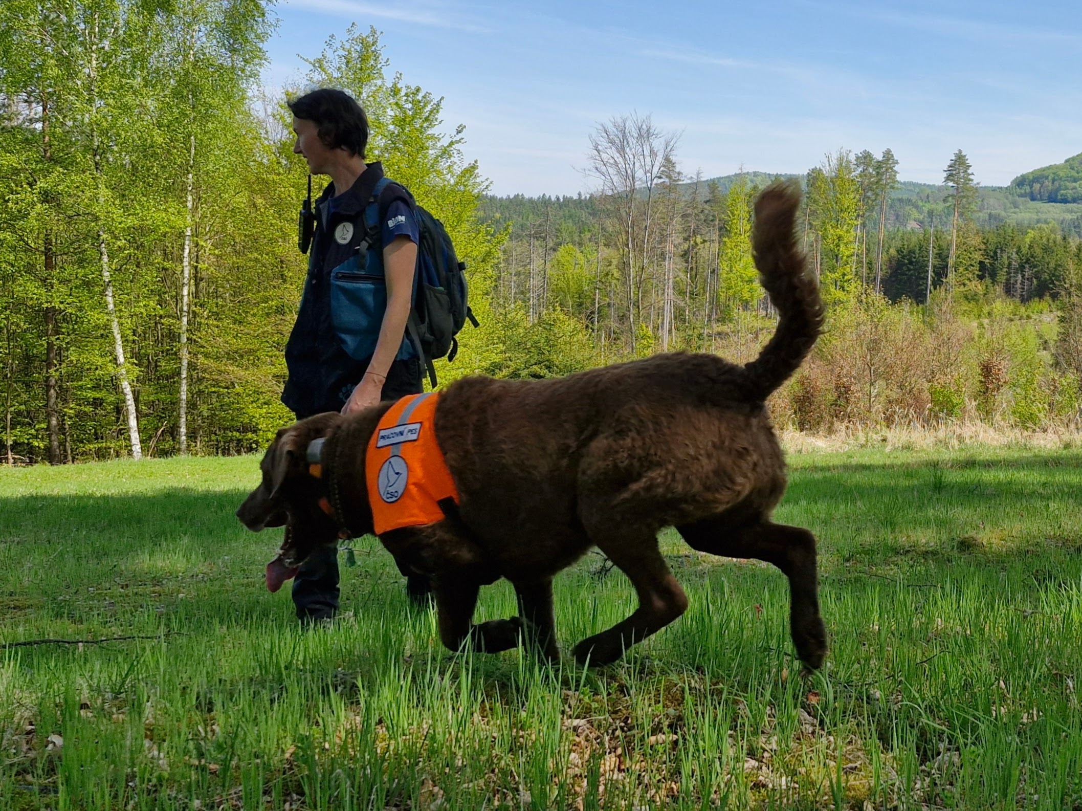 Správa NP České Švýcarsko navázala spolupráci s „psí jednotkou“ Českého svazu ornitologického, pro lepší prevenci travičství a dalších druhů environmentální kriminality. Na snímku psovodka Klára Hlubocká z ČSO, se speciálně cvičenými Chesapeake Bay retrívry Viky a Irbis. Foto: Tomáš Salov
