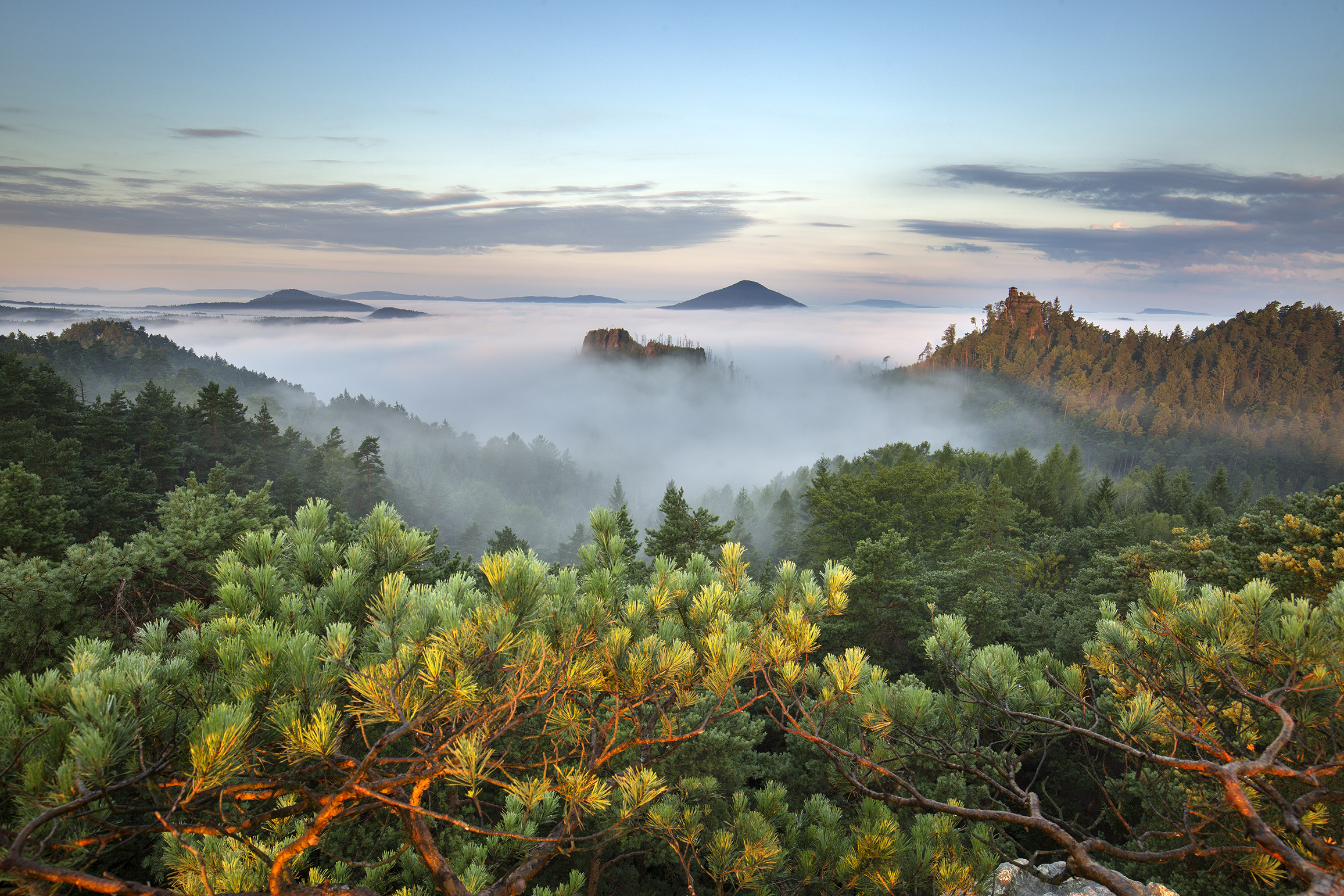 Krajina NP České Švýcarsko s Růžovským vrchem a Rudolfovým kamenem. Foto: Václav Sojka