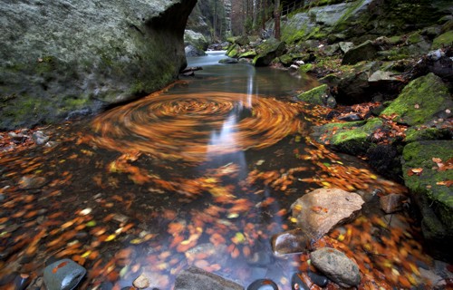 Říčka Kamenice v národním parku České Švýcarsko. Foto: Václav Sojka