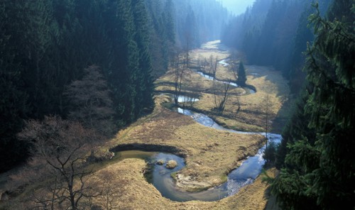 Meandry Křinice