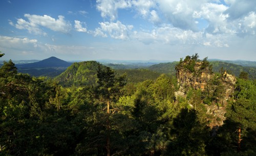 Lesy národního parku České Švýcarsko