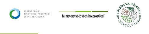 mzp
