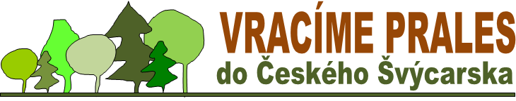 Vracíme prales do Českého Švýcarska