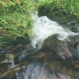 Křinice  - P. Sekavec