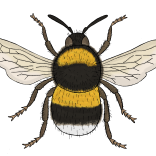 Ilustrace Magdaléna Smetanová