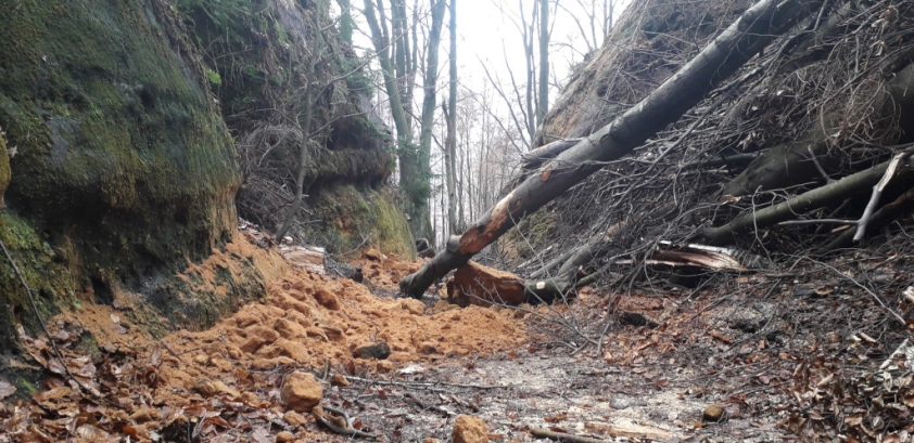 Shozený kámen u Olžina pádu. Foto: Tomáš Salov