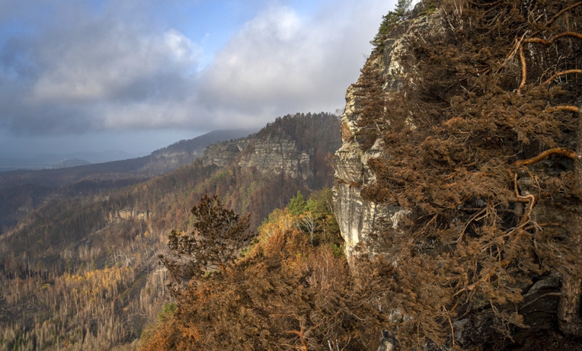 Krajina NP České Švýcarsko. Foto: Václav Sojka