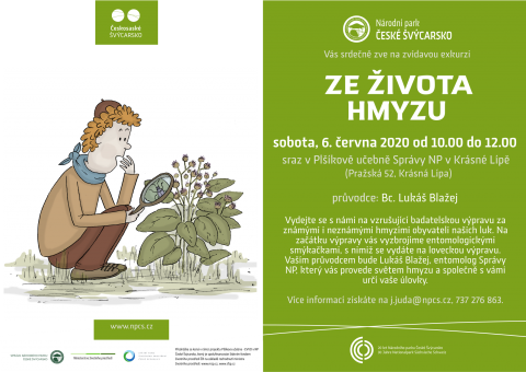 Ze života hmyzu - exkurze