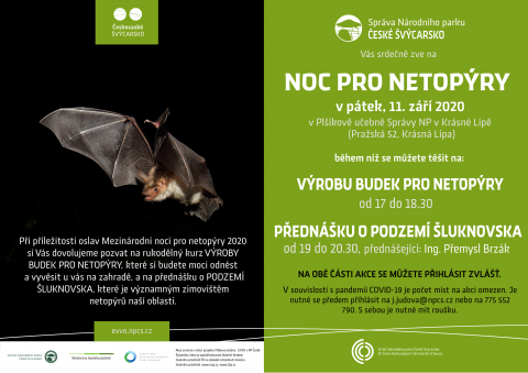 Noc pro netopýry 2020