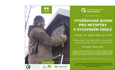 Vyvěšování budek pro netopýry