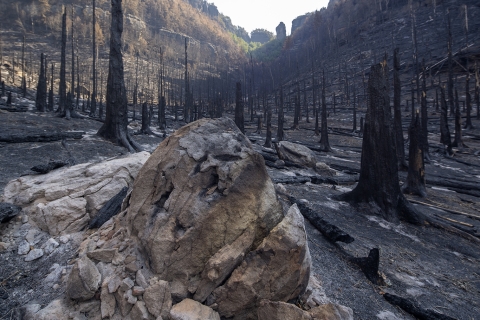 Požářiště pohledem geologa, foto V. Sojka