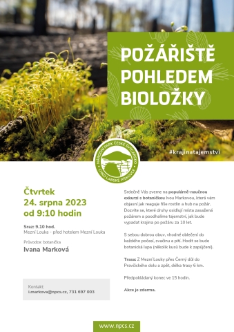 Požářiště pohledem bioložky, foto V. Sojka
