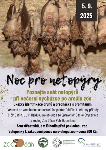Plakát na akci - Noc pro netopýry