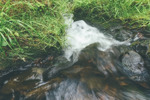 Křinice  - P. Sekavec