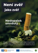 Plakát Nedopalek smrdutý 