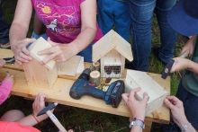 výroba hmyzích domečků